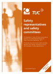 Safety representatives and safety committees – Brown Book