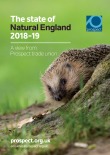 The state of Natural England 2018-19