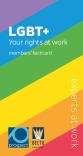LGBT+ rights at work factcard