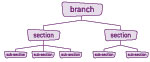 branch structure chart